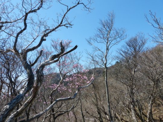 画像22